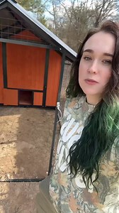 Plans are always changing over here 🤣🤷🏻‍♀️ #quail #homestead #homesteading #farmlife #farm | The Hot Mess Homestead