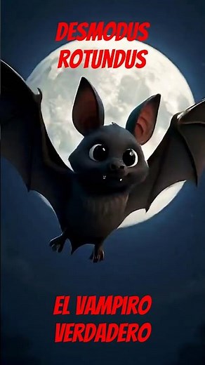 el murciélago vampiro #biología #curiosidades #sabiasque #ㅇyㅇ #ciencia #vampire#hallowen