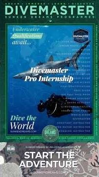 Sunken Dreams' Divemaster Pro Diver