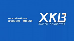 插脚型轻触开关 6.0x6.0x7.3，行程0.250.05mm，侧面操作，带支架，力度可定制