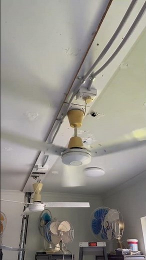 Weatherite ceiling fan startup on reverse