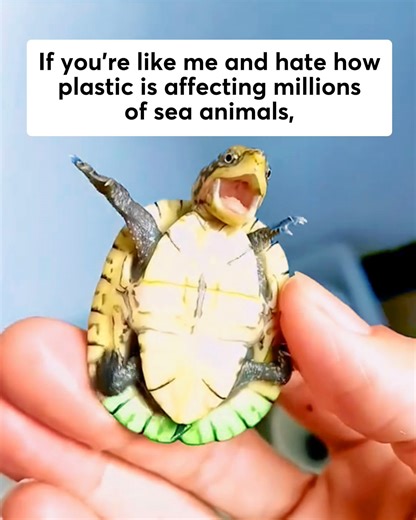 ‼️ Responsible adults need to know about this new alternative to wasteful, plastic zip bags | Cleanomic - Home Essentials