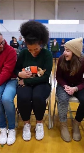 When Animals Choose Their Owners—This Dog Knew Instantly #adoption #heartwarming #shorts