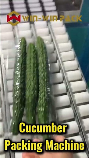 How to Pack Cucumber Automatically | Cucumber Packaging Machine Demo #FoodPackagingMachine #shrots