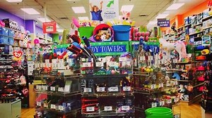 Hop on in for our annual Bunny Buffet! Stock up on your favorite goodies and get a personalized bucket FREE when you spend $25! 🐰🐣🥚#lemtlebanon | Learning Express of Mt. Lebanon