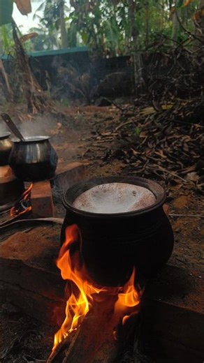 Pongala Vishesham✨#vellayani #festival #3yrs #function #trivandrum #keralanews #culture #enjoy #fun