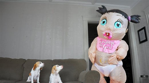 Giant baby prank leaves funny dogs bewildered