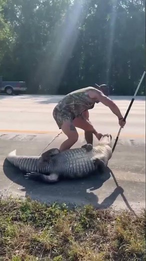 Florida man wrangles huge alligator along Interstate 95, Jacksonville deputies say