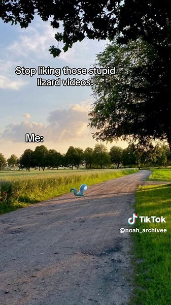 Lizard Meme: A Creative Exploration