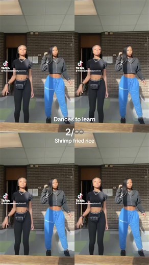 #dancestolearn #blowthisup #followme #shrimpfriedrice | dances