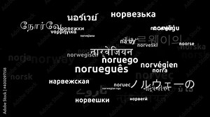 Norwegian Translated in 51 Worldwide Languages Endless Looping 3d Zooming Wordcloud Mask Stock Video