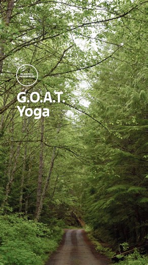 45K views · 233 reactions | Nothing like a good (rocky) stretch. The Ford Bronco® Goes Over Any Type of Terrain with up to 7 available G.O.A.T. Modes™. #BuiltWild | Ford Motor Company | Facebook