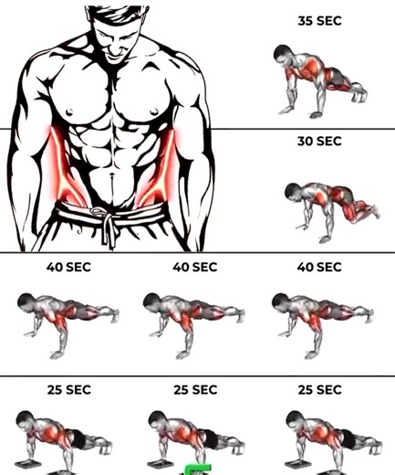 34K views · 429 reactions | The most effective series of exercise, classified according to the muscles they work. #fitness. | EFitnessHelp | Facebook