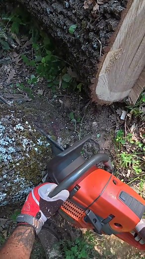 1.2K views · 15 reactions | “Epic Forestry Day: Cutting Through the Forest 望” #husqvarna #logging #chainsaw #forest #forestry | Axehole logger | Facebook