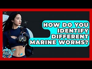 How Do You Identify Different Marine Worms? - The Marine Life Explorer