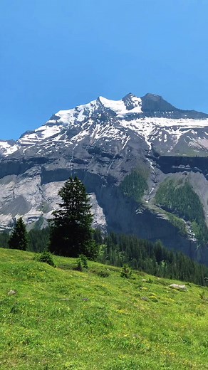 ハイジいそう🇨🇭 #スイス #アルプスの少女ハイジ #ハイジ #海外旅行 #世界の絶景 #tiktokで旅をしよう #ヨーロッパ #大自然 #switzerland #tiktoktravel #europe #heidi