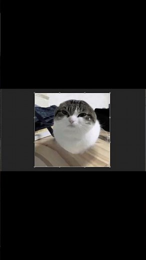 0000000000000000000000000000000000000000000000000000000000000000000000000000000000000000000000