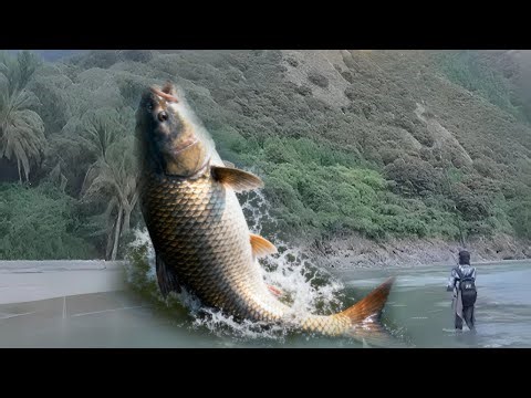 急流里面狂钓大鱼，拉到手软根本停不下来，这种手感太过瘾了！#雅鱼饵料#雅鱼窝料#钓雅鱼线组 #钓雅鱼方法