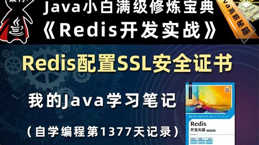 Redis与SSL安全证书【Redis开发实战、高并发数据库】，李兴华原创Java教程