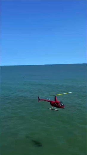 Steel Pier is open Saturday and Sundays at 12:00PM! www.steelpier.com | Steel Pier