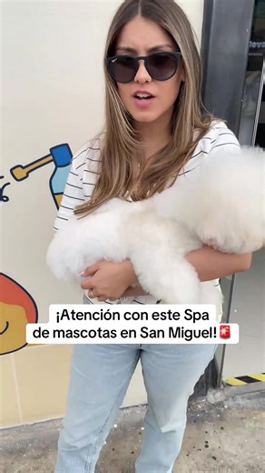 🚨Atención vecinos de San Miguel! Este es el Spa Grooming g donde tu engreído recibe cuidado, baño y corte profesional, con paciencia, cariño y comodidad 🐾✨ 📲 Agenda su grooming por WhatsApp: 934 231 090 📍 Prol. Manco Segundo 113, San Miguel #grooming #bichonfrisé #perros #baño #sanmiguel