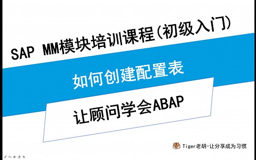 顾问学习ABAP-如何创建配置表