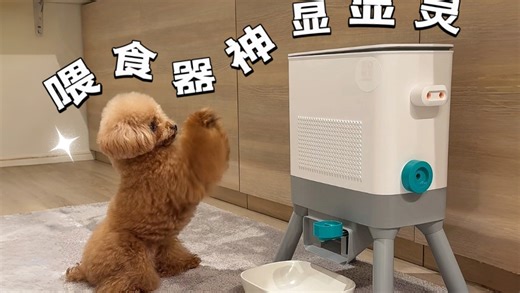 狗子：是不是你搞的鬼？！