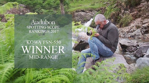 70K views · 37 reactions | Our #KowaSystem pure fluorite crystal spotting scopes continue to lead the way with the #Kowa TSN-880 and TSN-550 spotting scopes coming out on top in their categories in the Audubon spotting scope rankings. | Kowa Sporting Optics | Facebook