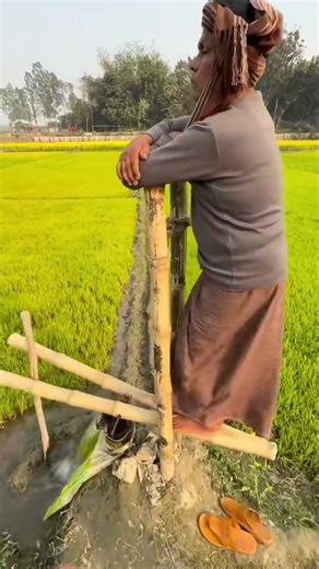 Modern Problems, Ancient Solutions 🧠