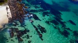 Pebbly Beach is a bit of a gem in Forster. With The Tanks next door this small beach is a favourite for snorkelers and kids alike where they can have some fun while being a bit protected from the waves. If you haven't checked it out whilst doing the Bicentennial Walk check our this clip instead produced by Flying Legs Photography #lovethegreatlakes #greatlakesnsw | Barrington Coast