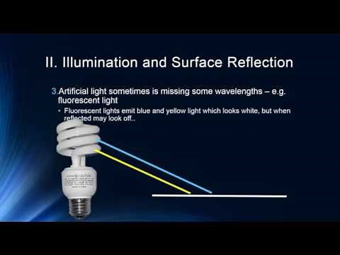 Vision: Part 1 - Properties of Light