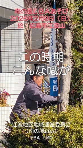 南の風EBA on Instagram: "南の風EBAあそび 2026年2月8日（日）10時 江波山公園 広島市の南の端っこにあるよ。 クルマ、バス、電車で行けるよ。 駐車場は例年と異なるので案内をよく見てね。 #南の風EBAあそび #広島市中区 #江波 #江波山 #江波地区地域運営委員会 #EBALMO"
