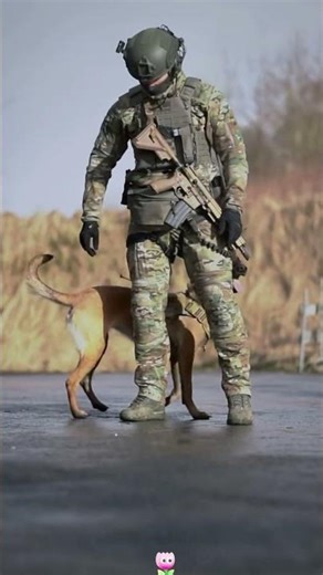 K9 Handler Commands Explained
