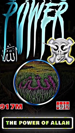 Watch Loop in 3x Allah ☝