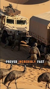 The Great Emu War | When Birds Outsmarted Trained Soldiers 😂🐦 || #emuwar #australia #historyfacts