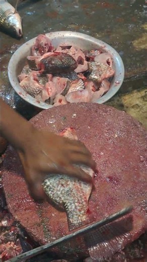 Next Level Tilapia Fish Cutting! | Ultra Clean Fillet Process That Feels So Satisfying 🐟🔪