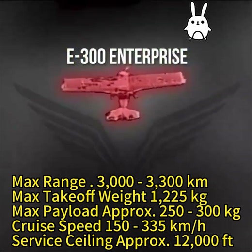 Why Is the E-300 ENTERPRISE So Hard to Shoot Down? Rubicon Drone Reveals the Answer