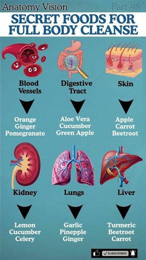 Best Natural Detox Foods for a Full Body Cleanse and Renewal