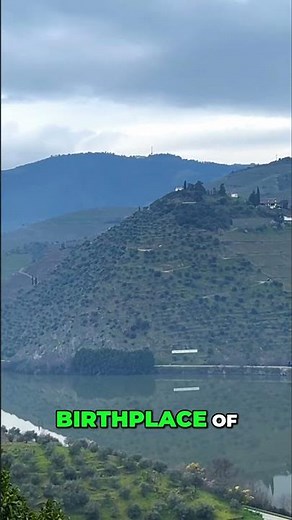 Douro Valley: Portugal's Stunning Port Wine Region Revealed! #shorts