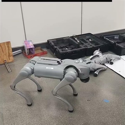 Testing Unitree Go2 #ai #robots #robotics