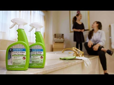 How to Remove Mold and Mildew Stains with STONETECH
