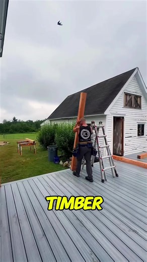 This guy built a luxury porch with some seriously heavy-duty timber!#heavytimber #woodworking #carpentry #diyproject #constructionlife #homeimprovement #outdoorliving #satisfyingbuild