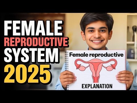 Female reproductive system | Full Explanation 🔥 | in Hindi | With Anatomy diagram
