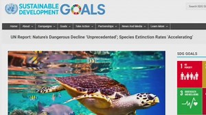 Humans are accelerating the extinction of other species, U.N. report says