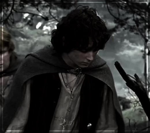 Celebração dos 500k likes por Frodo Baggins