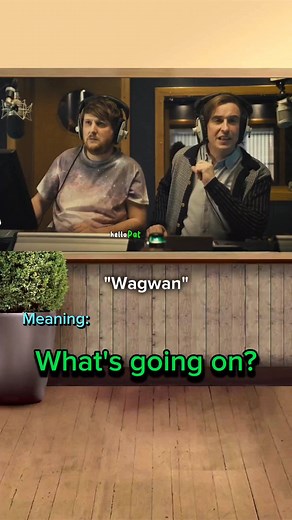 "Wagwan" meaning 🇬🇧🇺🇲 #britishenglish #ukenglish #idioms #idiomsan... | wagwan