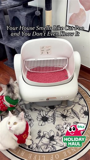 Stink-Free Litter Box Solutions for Cat Owners