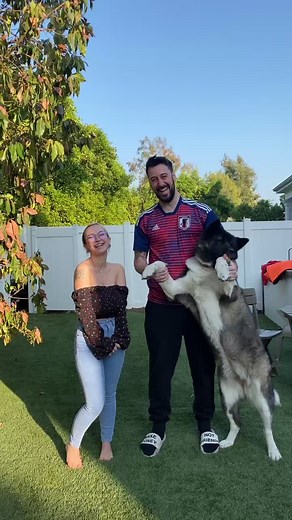 Might have to steal @piques dog 👀😂 it was great meeting you both! #piques #dog #collab #foryou #fyp #shortgirl #short #tall #tallguy