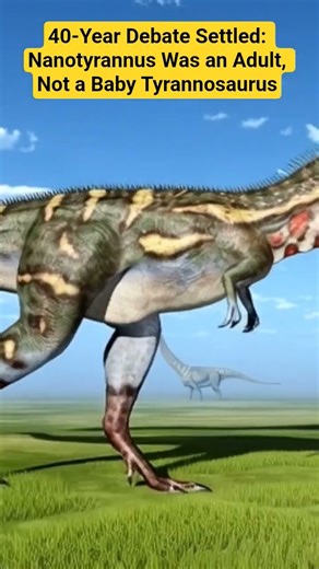 Nanotyrannus No More: New Study Confirms It Was a Distinct Adult Dinosaur