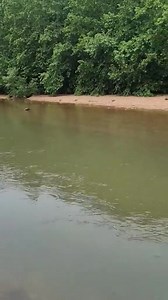 That crystal-clear water? Yep, it’s float-ready! 💦🛶 The birds are cheering you on, and the Huzzah is calling your name. 🎶🐦 Grab your crew, your cooler, and your favorite float — it’s the perfect day/weekend to enjoy the great outdoors. 😎☀️ #FloatTheHuzzah #RiverVibes #ClearWaterCoolersAndCrew #HuzzahValleyAdventures | Huzzah Valley Resort